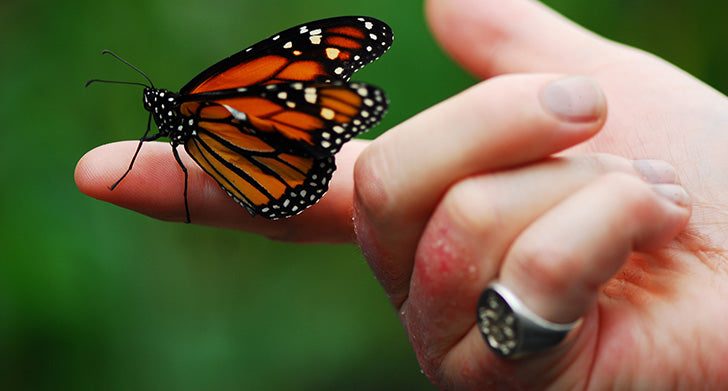 Did You Know These Effective Treatments for Psoriasis on Hands, Feet and Nails? Psoriasis on Hands, Feet and Nails