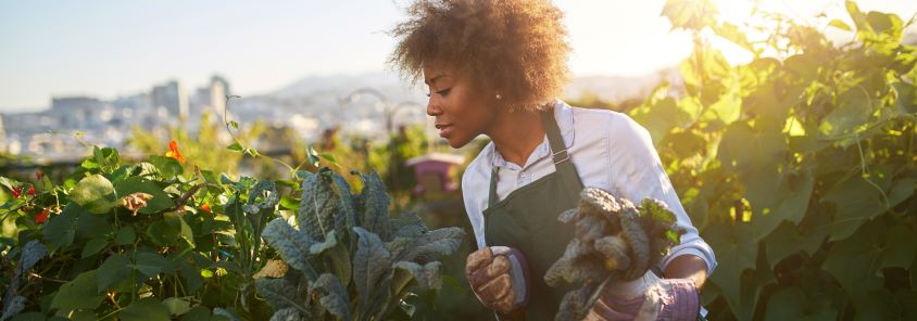 Is Gardening Ruining Your Skin: This Perfect Mother’s Day Gift Can Help