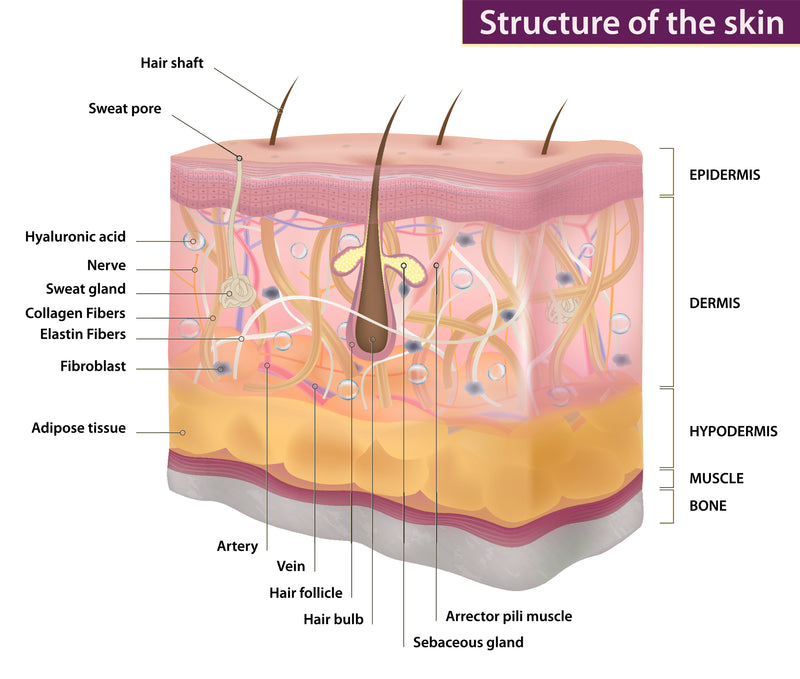 improve dry skin